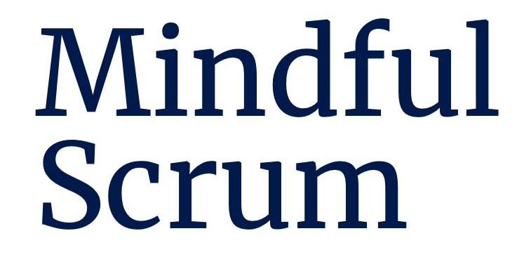 Mindful Scrum Research Project